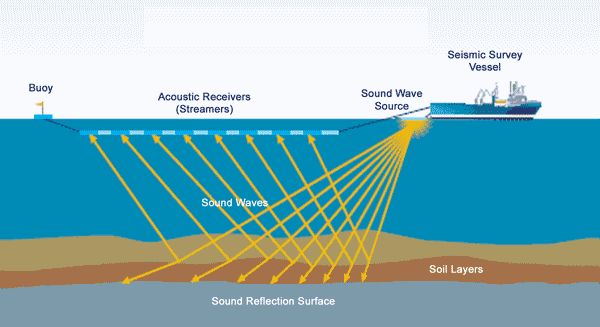 The Basics of Offshore Oil & Gas - NOIA