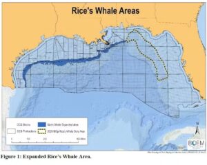The area excluded from Lease Sale 261 is between the 100 meter and 400 meter isobaths in the northern Gulf of Mexico. There is no direct path from Gulf Coast shore bases or ports to deepwater that avoids traversing the Expanded Rice’s Whale Area.
