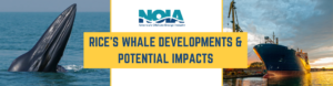Rice's Whale Litigation and Impacts on Gulf of Mexico Oil and Gas Operations